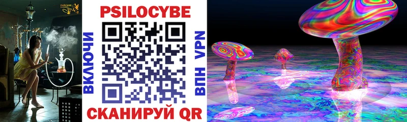 мега ссылки  shop как зайти  Почеп  Псилоцибиновые грибы Psilocybe  цена  